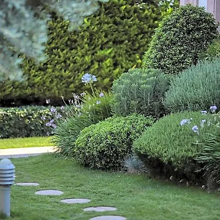 Tas Bahce Cunda Hotel