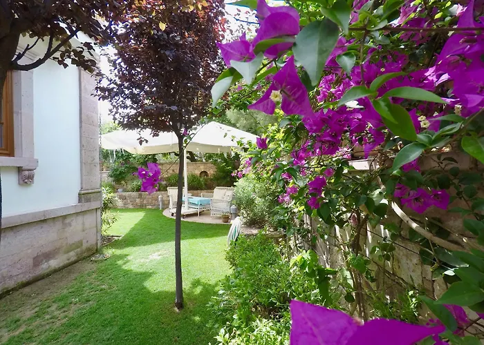 호텔 Tas Bahce Cunda Ayvalı